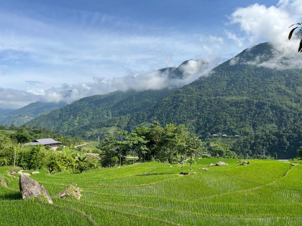 Ya's House – Sa Pa